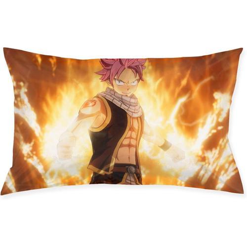 Fairy Tail Housse De Coussin Carrée En Peluche Avec Impression Déco... on Productcaster.