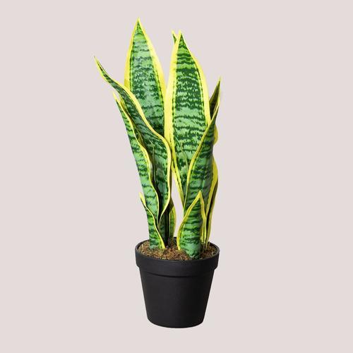 Plante Artificielle Décorative Sansevieria 45 cm ?45 cm on Productcaster.