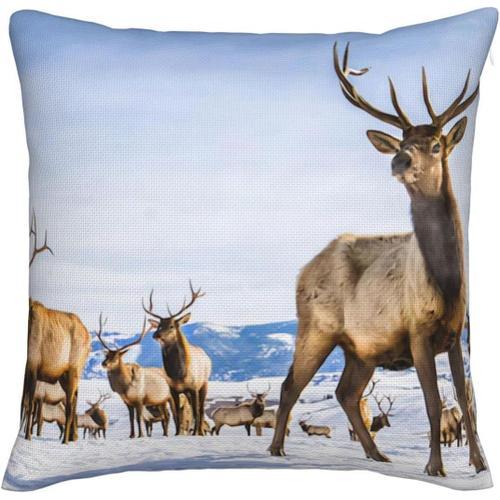 Cerf Sur Champ De Neige Imitation Lin Housses De Coussin Taie D'ore... on Productcaster.