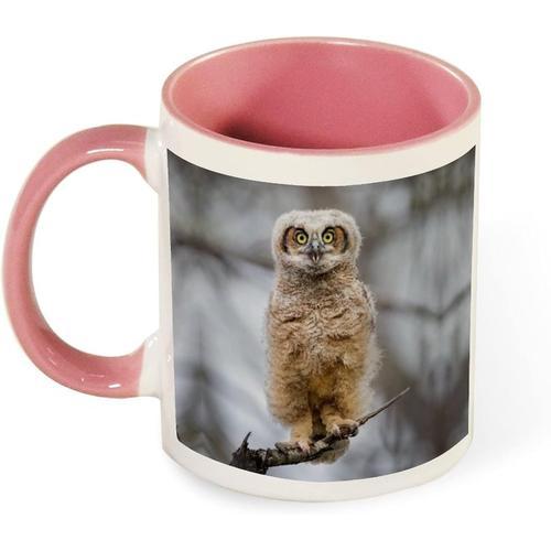 Tasse Cadeau Mignon Animal Etrange Oiseau Hibou 330 Ml, Grande Tass... on Productcaster.