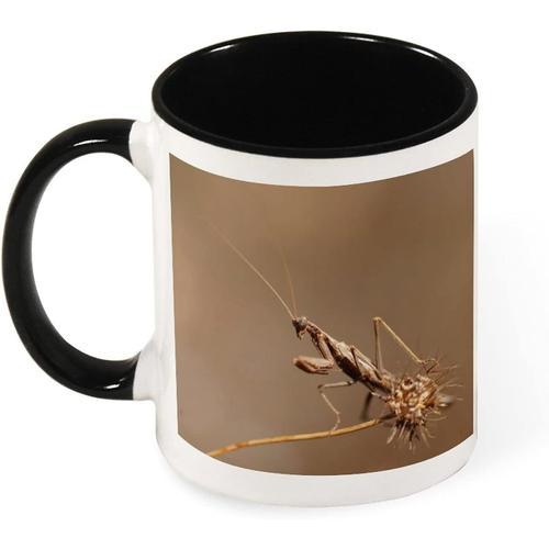 Tasse A Cafe De Couleur D'insecte De Mante Religieuse D'animal Mign... on Productcaster.