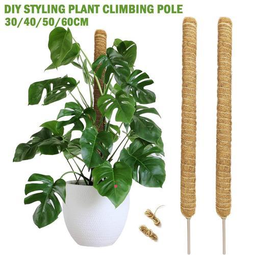 J3L0-Pilier de vigne grimpante pour plantes à monter soi-même,plant... on Productcaster.