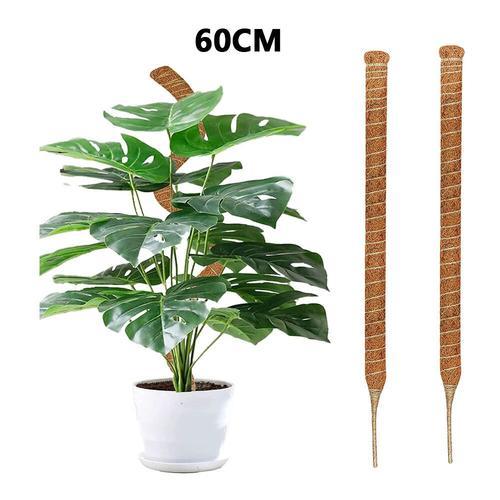 Poteaux de plantes pliables bricolage,support de bâtons Monstera,en... on Productcaster.