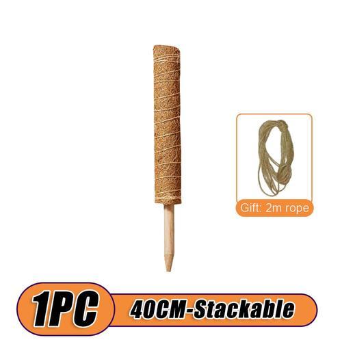 Cadre d'escalade pour plantes 30-80cm,anciers de palmier totem,supp... on Productcaster.