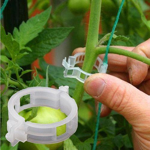 Applicateur de support de tomate,pince en plastique,flexible,non mo... on Productcaster.