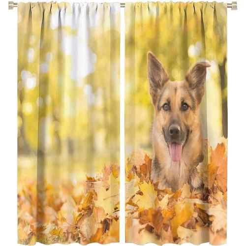 Rideaux Occultants, Foret D'automne, Chiens Mignons, Theme Ferme D'... on Productcaster.