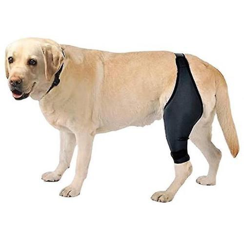 Genouillère Pour Chien Pour Acl, Luxation De La Rotule, Arthrite ? ... on Productcaster.