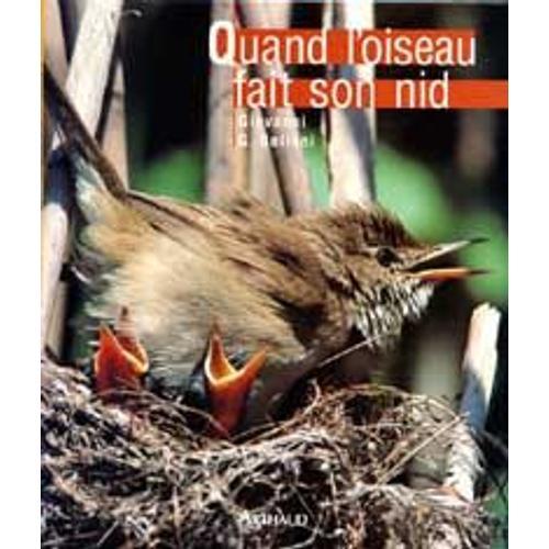 Quand L'oiseau Fait Son Nid on Productcaster.