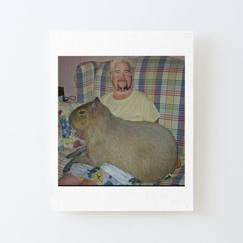 Canevas imprimer Guy Fieri avec capybara Impression sur toile Roulé... on Productcaster.