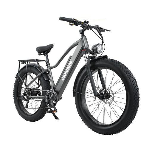 Vélo Électrique Rx20, Pneus De 26 Pouces Moteur 1000w, 48v 20ah Bat... on Productcaster.