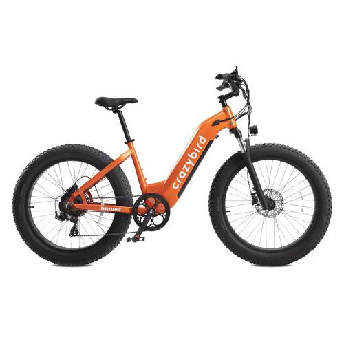 Vélo Électrique Crazybird Jumper E-Bike 250w Bafang Motor Lg Lithiu... on Productcaster.