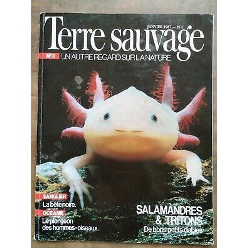 Terre Sauvage N3 Janvier 1987 Salamandres Et Tritons on Productcaster.