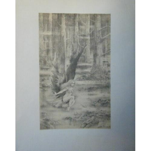 Lithographie 20ème Nue Dans La Foret Beaux Arts Parfait Etat on Productcaster.