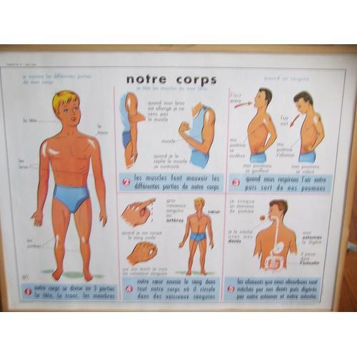 Affiche Scolaire Tableau De Sciences Mdi "Notre Corps / Nos Os" on Productcaster.