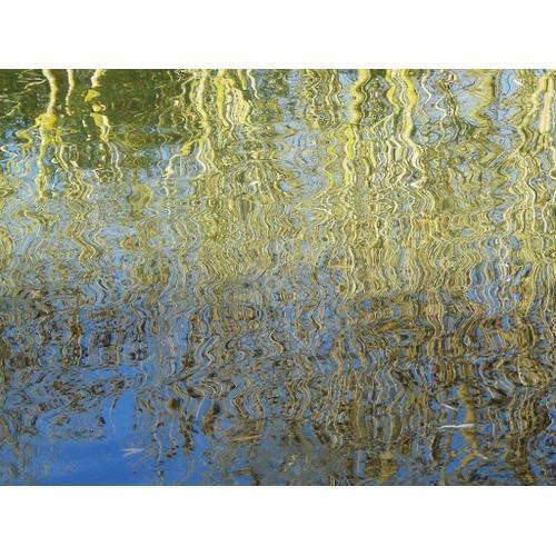 Reflets D'arbres on Productcaster.