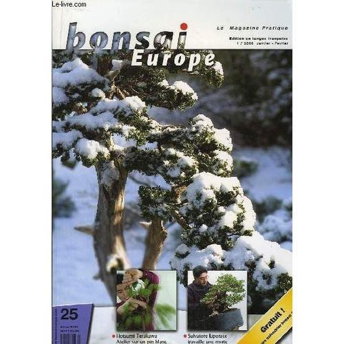 Bonsai Europe N°25 : Hotsumi Terakawa, Atelier Sur Un Pin Blanc. Sa... on Productcaster.