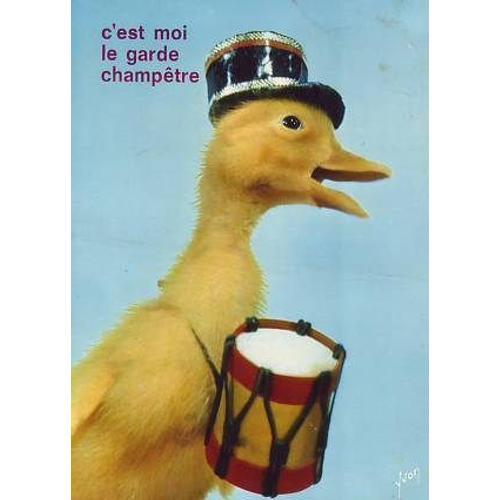 Saturnin . C Est Moi Le Garde Champetre on Productcaster.