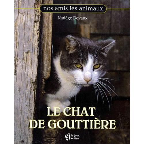 Le Chat De Gouttière on Productcaster.