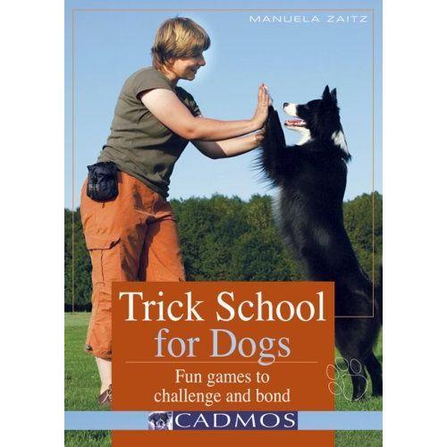 Trick School For Dogs on Productcaster.