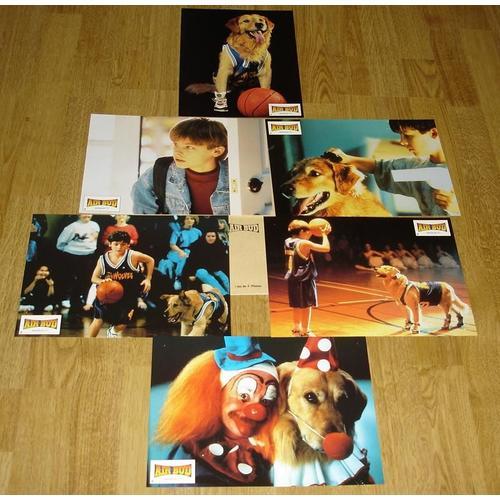 Air Bud - Jeu De 6 Photos D'exploitation Cinématographique Original... on Productcaster.