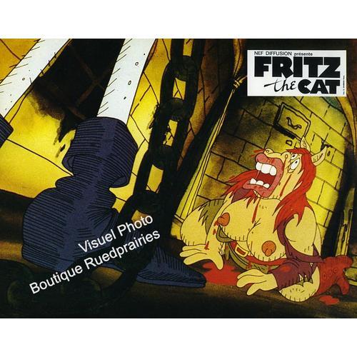 Fritz The Cat - Fritz Le Chat : Jeu De 9 Photos D'exploitation Ciné... on Productcaster.