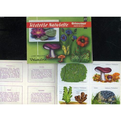 Histoire Naturelle Botanique Plantes, Racines, Etc N°22 on Productcaster.