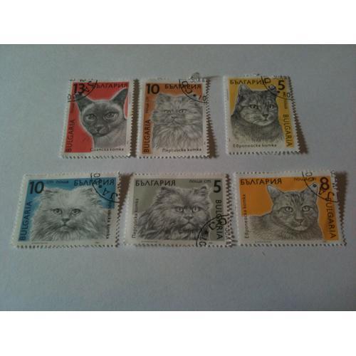 Lot De 6 Timbres Chats Bulgarie 1989 on Productcaster.