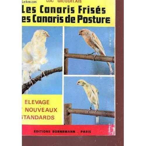 Les Canaris Frises, Les Canaris De Posture / Elevage Et Nouveaux St... on Productcaster.