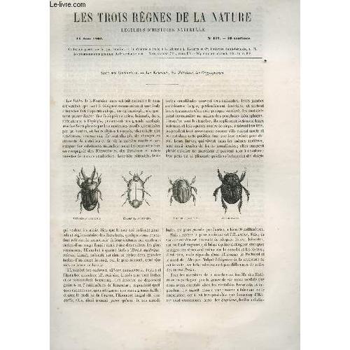 Les Trois Regnes De La Nature - Lectures D'histoire Naturelle / Tro... on Productcaster.