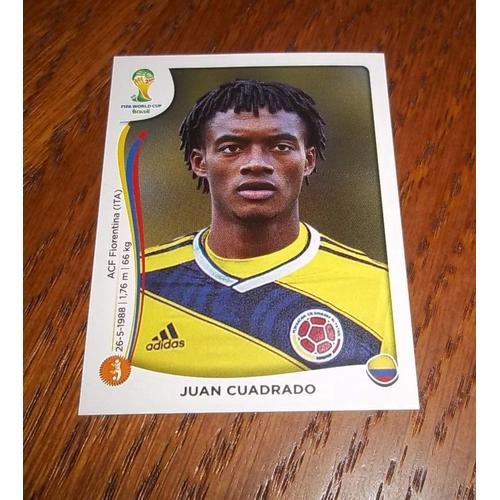 Image Panini 2014 Fifa World Cup Brésil N° 196 on Productcaster.