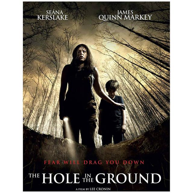 The Hole in the Ground - DVD on Productcaster.