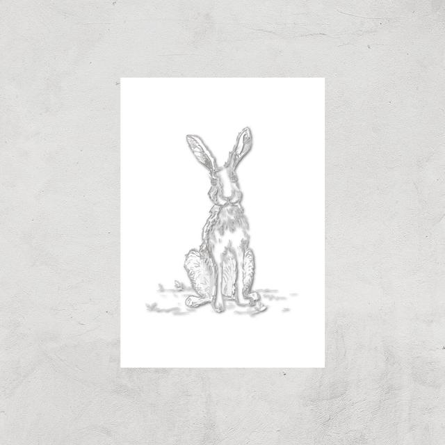 Hare Sketch Art Print - A3 - Print Only on Productcaster.