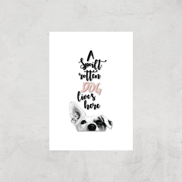 A Spoilt Rotten Dog Lives Here Jack Russell Art Print - A4 - Print Only on Productcaster.