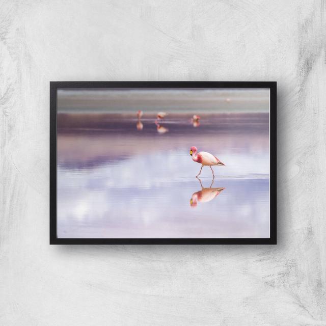 Solitary Flamingo Giclee Art Print - A3 - Black Frame on Productcaster.