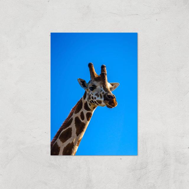 Giraffe Giclee Art Print - A4 - Print Only on Productcaster.