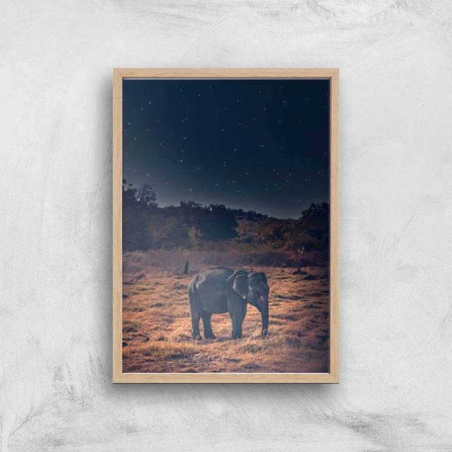 Elephant At Night Giclee Art Print - A3 - Wooden Frame on Productcaster.