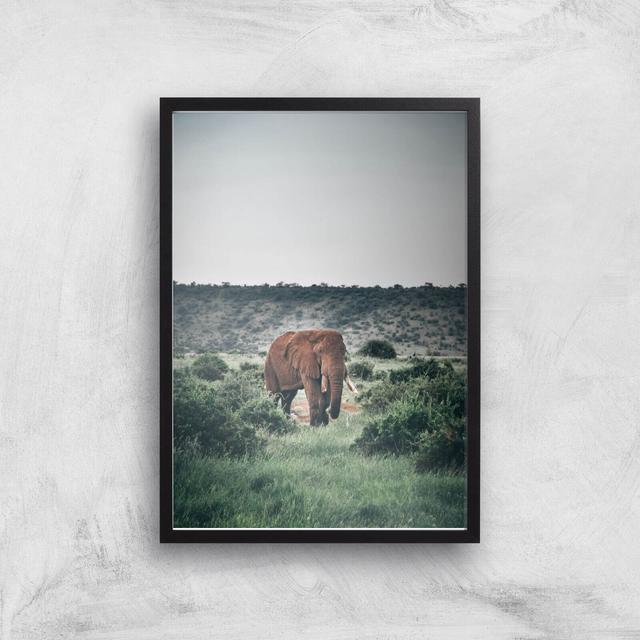 Wandering Elephant Giclee Art Print - A3 - Black Frame on Productcaster.