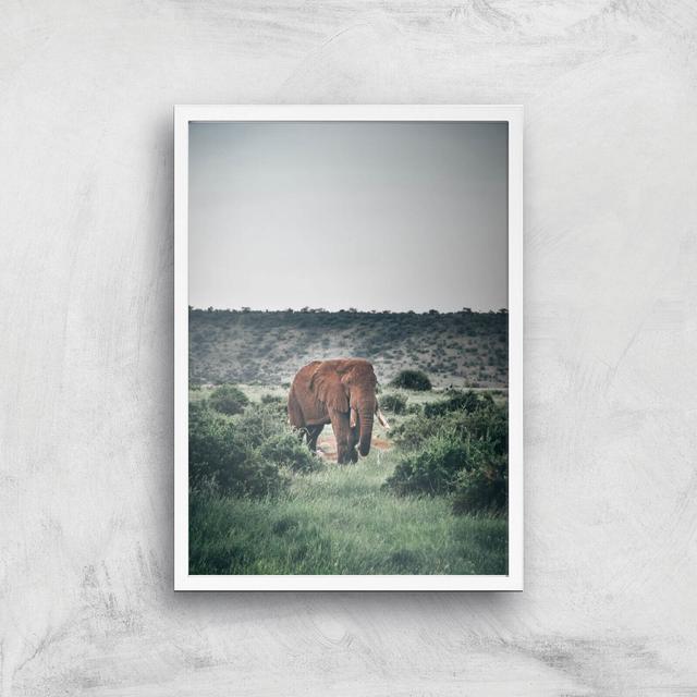 Wandering Elephant Giclee Art Print - A2 - White Frame on Productcaster.