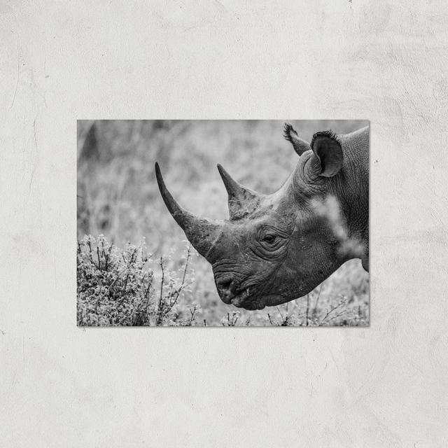 Grayscale Rhino Giclee Art Print - A3 - Print Only on Productcaster.