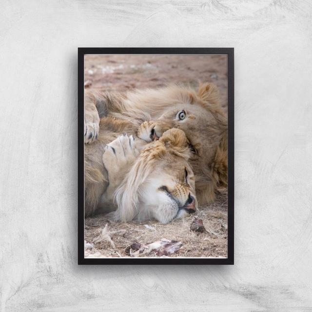 Morning Cuddles Giclee Art Print - A3 - Black Frame on Productcaster.