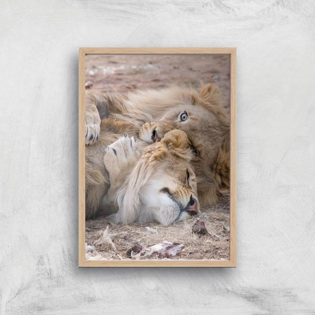 Morning Cuddles Giclee Art Print - A2 - Wooden Frame on Productcaster.