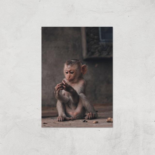 Baby Monkey Giclee Art Print - A3 - Print Only on Productcaster.