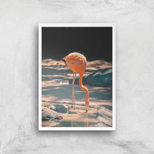 Drinking Flamingo Giclee Art Print - A3 - White Frame on Productcaster.