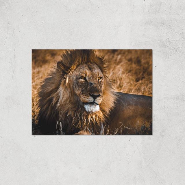 King Of The Savanna Giclee Art Print - A4 - Print Only on Productcaster.