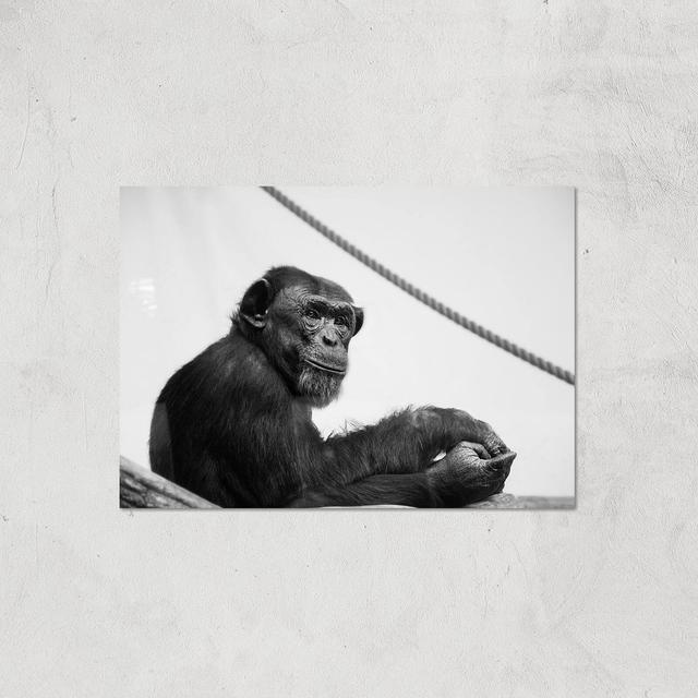 Chimpanzee Lost In Thought Giclee Art Print - A3 - Print Only on Productcaster.