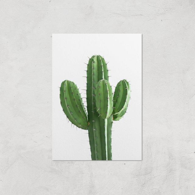 Cactus Giclee Art Print - A3 - Print Only on Productcaster.