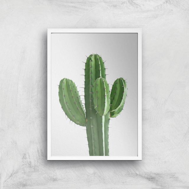 Cactus Giclee Art Print - A3 - White Frame on Productcaster.