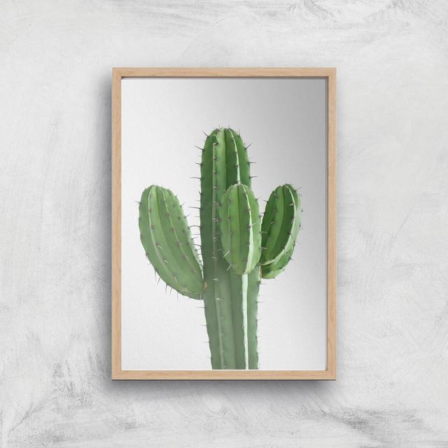 Cactus Giclee Art Print - A2 - Wooden Frame on Productcaster.