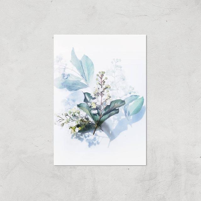 Look At This Flower Giclee Art Print - A3 - Print Only on Productcaster.