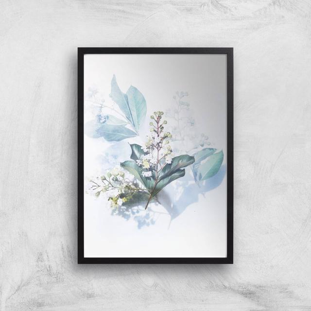 Look At This Flower Giclee Art Print - A3 - Black Frame on Productcaster.